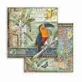 stamperia-blok-papierow-scrap-203x203cm-10szt-amazonia (5).jpg