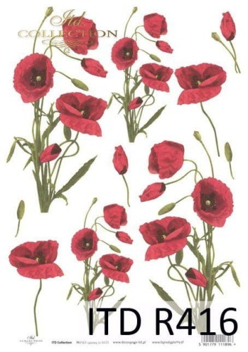 Papier ryżowy ITD R0415