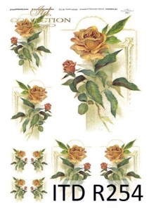 Papier ryżowy ITD R0254