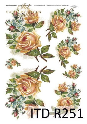 Papier ryżowy ITD R0251