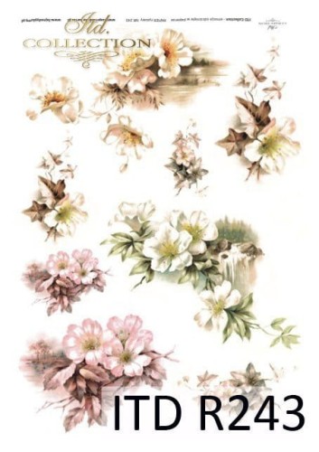 Papier ryżowy ITD R0243