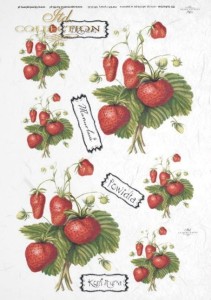 Papier ryżowy ITD R0126