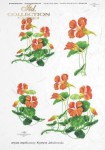 Papier ryżowy ITD R0125
