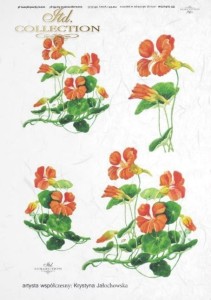 Papier ryżowy ITD R0125