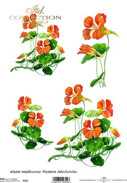 Papier ryżowy ITD R0125