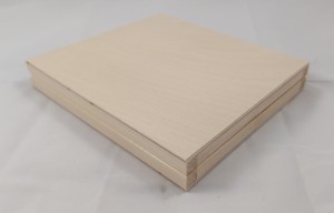 PUDEŁKO  NA PŁYTĘ CD 16x12x3,5