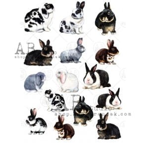 Papier ryżowy do decoupage 0568