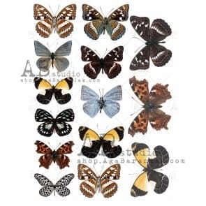 Papier ryżowy do decoupage 0570