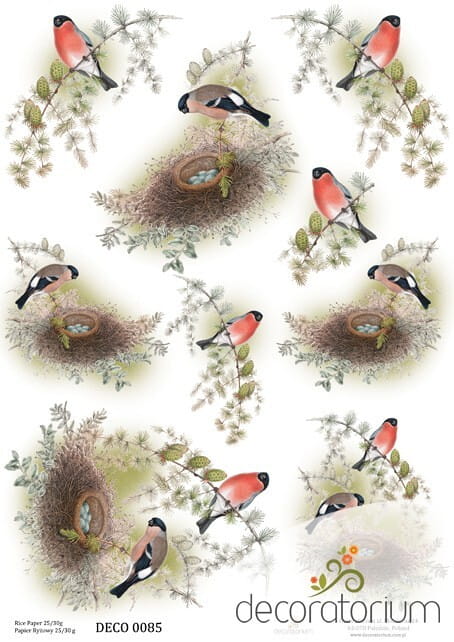 papier-ryzowy-grafika-a4-25g-m2 (88).jpg