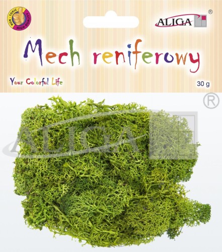 5902150645474 MECH-5474.jpg