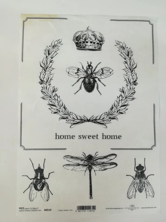 279779867_817621855876565_5854141740058781393_n.jpg