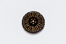 thumb_IMG_4747.gif