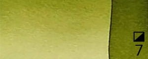 37.-Sap-green-3.jpg