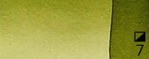 37.-Sap-green-3.jpg