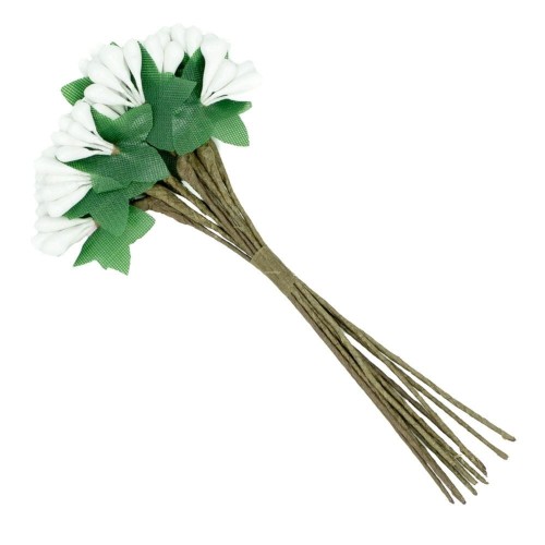 0_0_productGfx_1997331.jpg