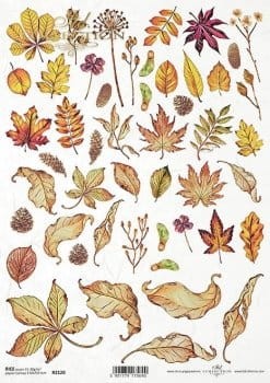 Papier ryżowy ITD R2120