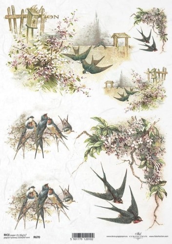 Papier Ryżowy ITD 670