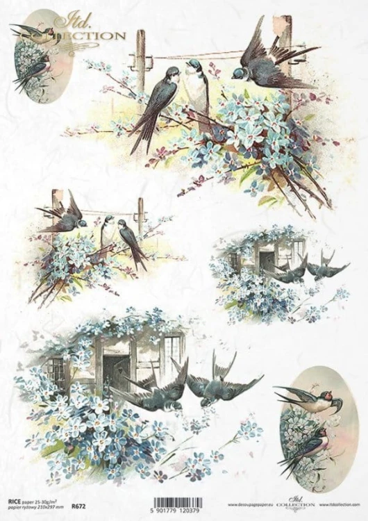 d8dd545b848cf052adb3d59873f0a938.jpg