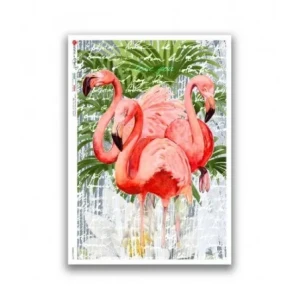 PTAKI ,FLAMINGI A4 (22,5X32 CM) 