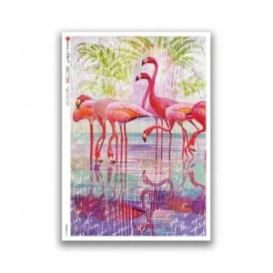 PTAKI ,FLAMINGI A4 (22,5X32 CM) 