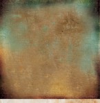 340449412_194122043480965_1581425212176929903_n.jpg