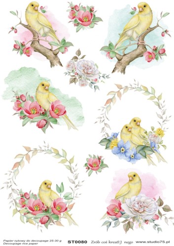 Papier-ryzowy-do-decoupage-ptaki-i-kwiaty-Wiosna-Studio75_[12105]_1200.jpg