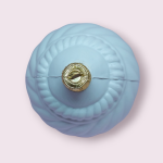 PhotoRoom-20230811_202202_22.png