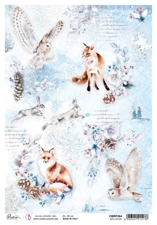 CIAO BELLA PAPIER RYŻOWY A4 ARTIC NATURE
