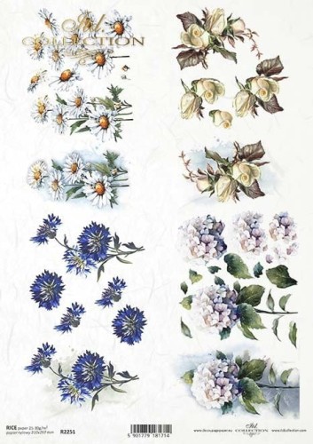 Papier Ryżowy ITD R2251