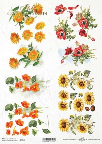 Papier Ryżowy ITD R2250.jpg