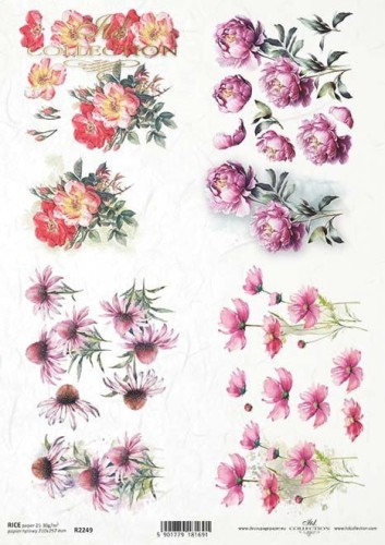 Papier Ryżowy ITD R2249