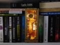 DSCN9338.jpg