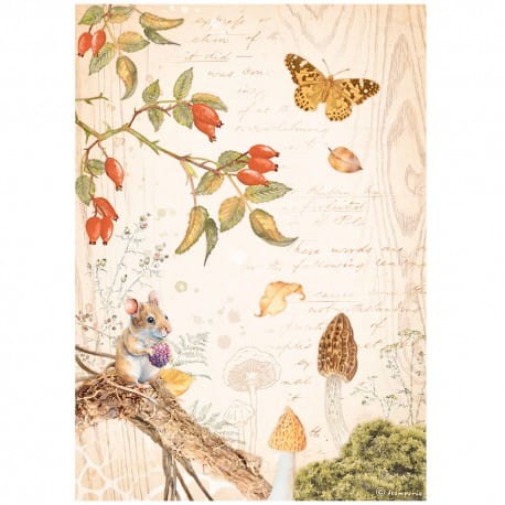 STAMPERIA PAPIER RYŻOWY A4 WOODLAND MOTYLEK I WIEWIÓRKA