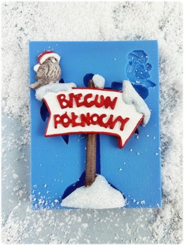 Forma silikonowa Biegun Północny 1.jpg