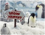 Biegun Północny 6.jpg