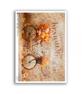 photos-0115-carta-di-riso-vittoriana-per-decoupage.jpg