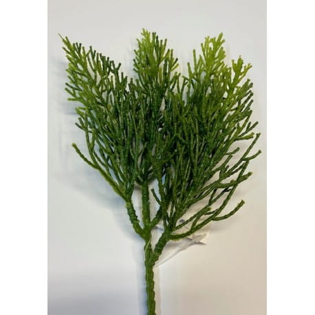 sztuka-zd-pik-galazka-skrzyp-12-cm.jpg