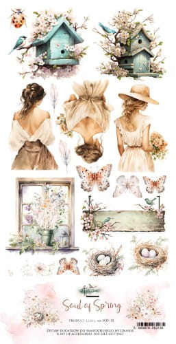 AA-SOS-10_-cover.webp