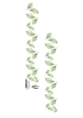 AA-STRPIS-101.webp