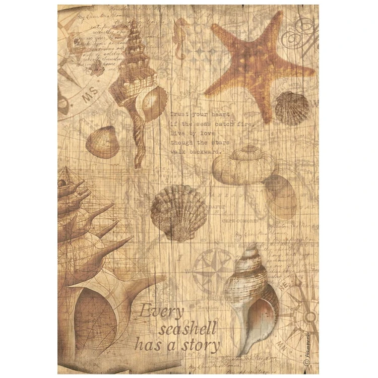 Papier ryżowy A4 SEA LAND -MUSZLE- Stamperia (DFSA4859
