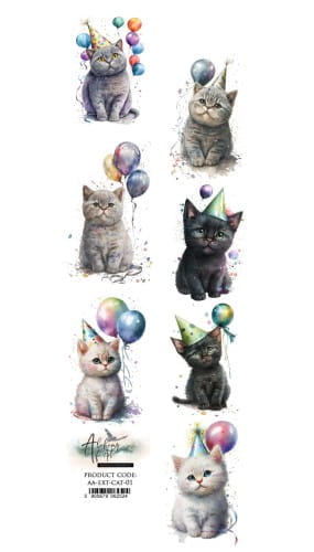 AA-EXT-CAT-01.webp