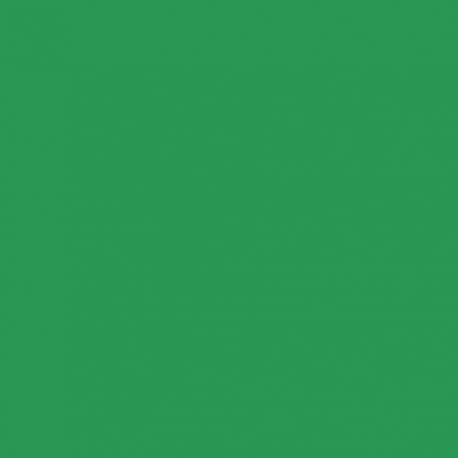 pentart-farba-do-tkanin-50-ml-zielona-new.jpg