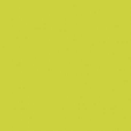 pentart-farba-do-tkanin-50-ml-zielone-jablko-new.jpg