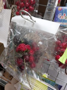 Maliny - jeżyny- 9 szt