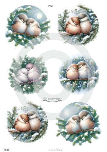 R4846_wm.png