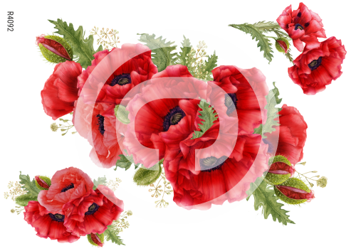 R4092_wm.png