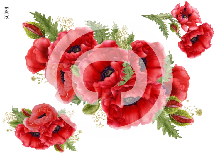 R4092_wm.png
