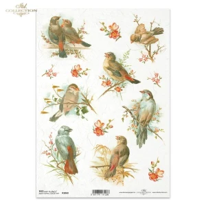 Papier Ryżowy ZWIERZĘTA  ITD 1069