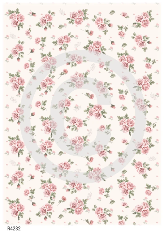 R4232_wm.png
