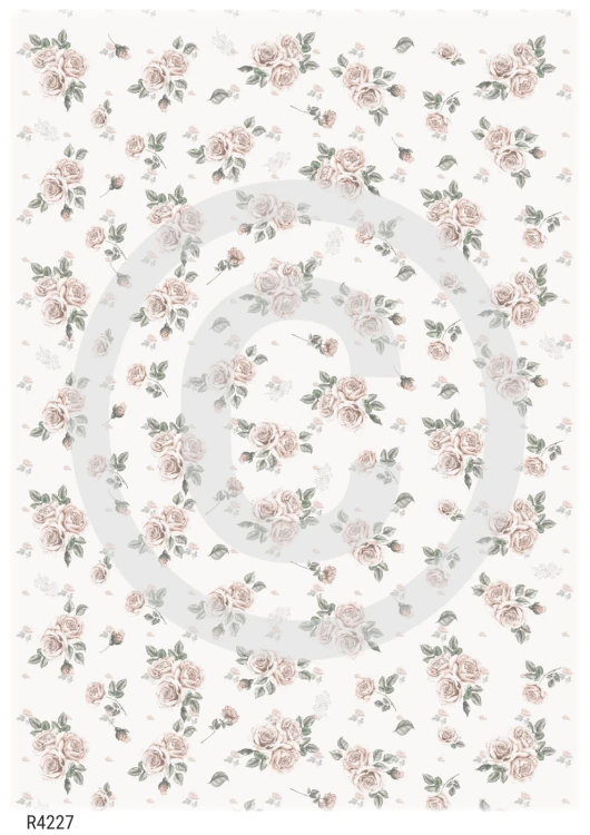 R4227_wm.png